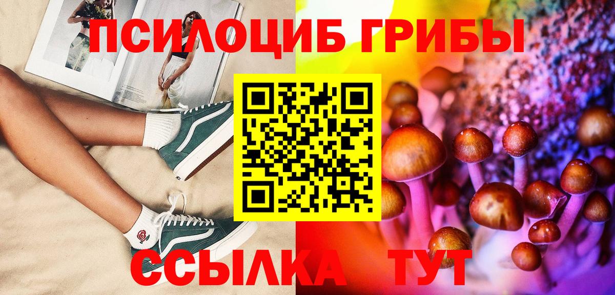 Галлюциногенные грибы Cubensis  Вход с VPN  Галлюциногенные грибы Psilocybe  Королёв 