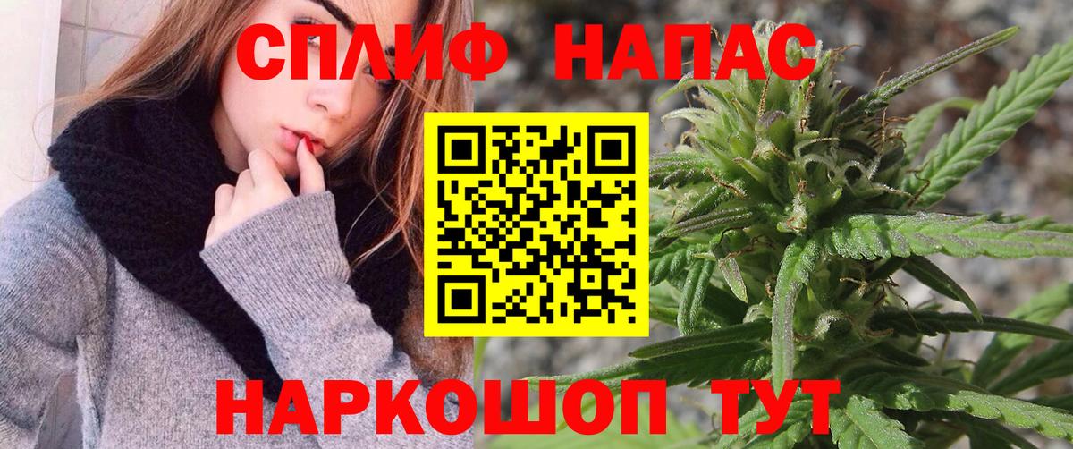 Бошки марихуана MAZAR  Марихуана планчик  Королёв  Вход с VPN  МАРИХУАНА конопля 